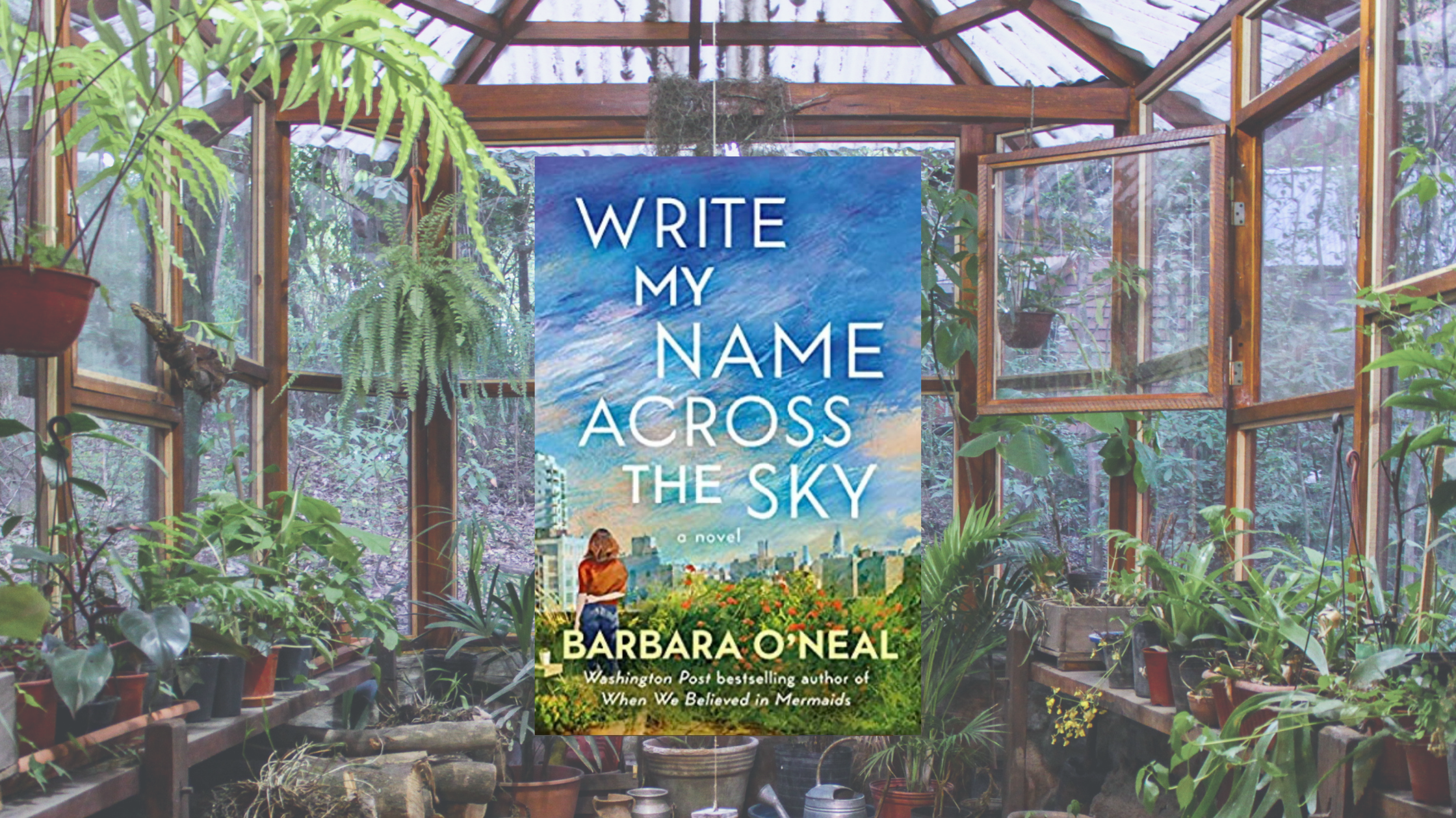Book Review: Write My Name Across the Sky by Barbara O'Neal – Paw Prints in the Sink